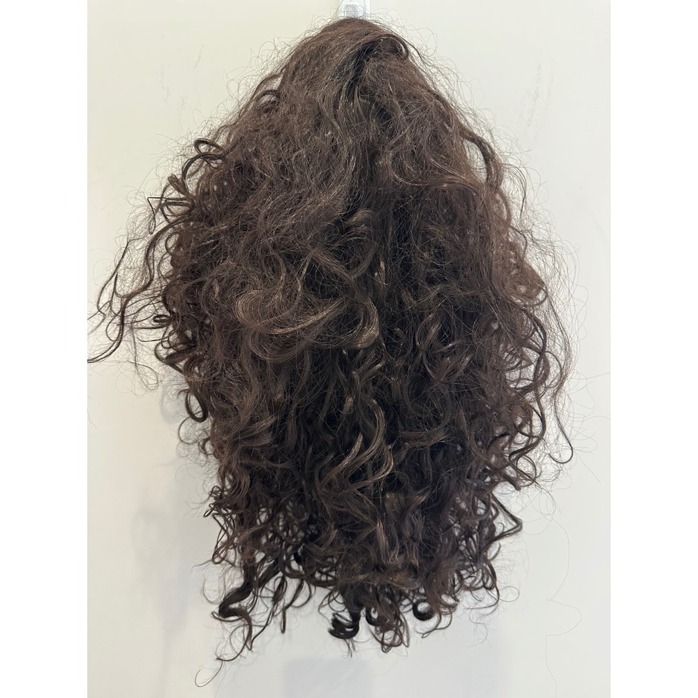 Dark Brown Curly Wig Synthetic Long Brunette Mesh Cap Halloween Costume